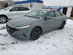 Salvage cars for sale at Ham Lake, MN auction: 2023 Hyundai Elantra SEL