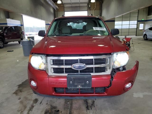 2008 Ford Escape XLT