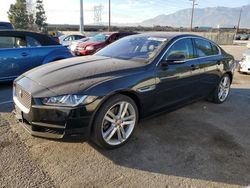 Jaguar salvage cars for sale: 2017 Jaguar XE Prestige