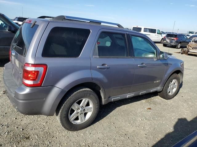 2008 Ford Escape HEV