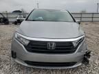 2023 Honda Odyssey EXL