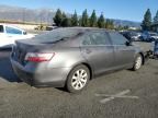 2008 Toyota Camry Hybrid