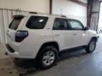 2024 Toyota 4runner SR5/SR5 Premium