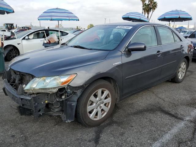 2009 Toyota Camry Hybrid