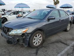 Salvage cars for sale at Van Nuys, CA auction: 2009 Toyota Camry Hybrid