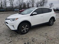 Salvage cars for sale from Copart Cicero, IN: 2017 Toyota Rav4 XLE