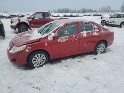 Toyota salvage cars for sale: 2010 Toyota Corolla Base