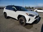 2023 Toyota Rav4 XSE