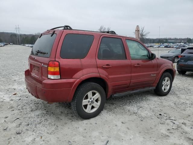 2006 Ford Escape HEV