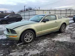 2005 Ford Mustang en venta en Hillsborough, NJ