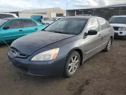 Salvage cars for sale at Brighton, CO auction: 2004 Honda Accord EX