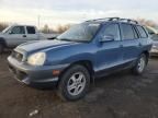 2003 Hyundai Santa FE GL