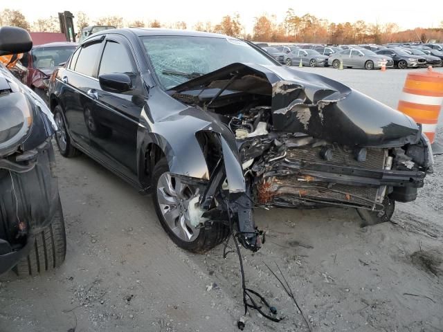 2010 Honda Accord EXL