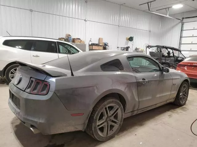 2013 Ford Mustang GT