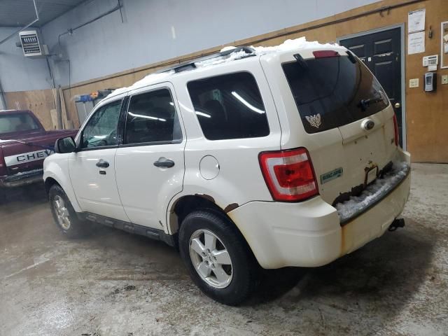 2010 Ford Escape XLT