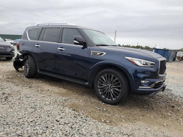 2023 Infiniti QX80 Luxe