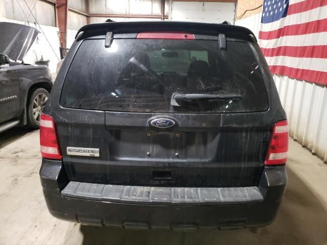 2010 Ford Escape XLT