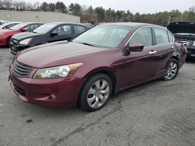 2008 Honda Accord EXL