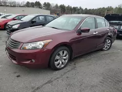 Honda Accord exl salvage cars for sale: 2008 Honda Accord EXL