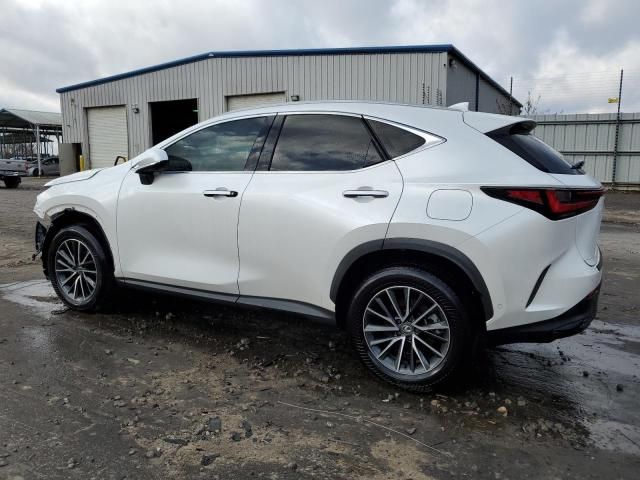 2024 Lexus NX 350H Base