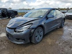 Salvage cars for sale from Copart Houston, TX: 2023 Tesla Model 3