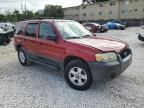 2005 Ford Escape XLT