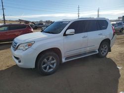 2013 Lexus GX 460 Premium en venta en Colorado Springs, CO