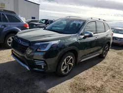 Salvage cars for sale at Tucson, AZ auction: 2023 Subaru Forester Touring