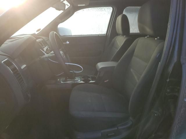 2009 Ford Escape XLT