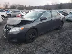 Toyota Camry Base salvage cars for sale: 2010 Toyota Camry Base