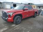 2023 Toyota Tundra Crewmax Platinum