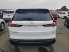 2025 Honda CR-V EXL