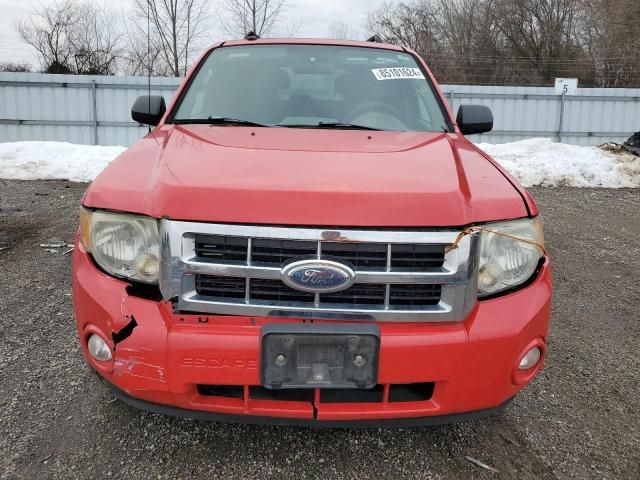 2009 Ford Escape XLT