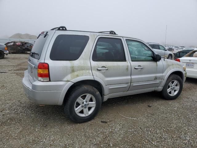 2005 Ford Escape HEV