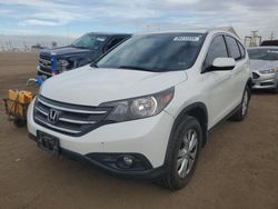 Salvage cars for sale at Brighton, CO auction: 2014 Honda CR-V EXL