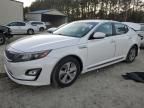 2015 KIA Optima Hybrid