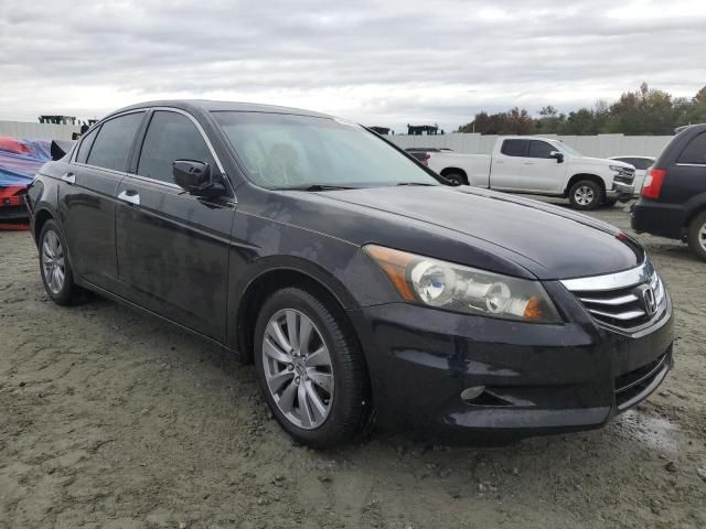 2011 Honda Accord EXL