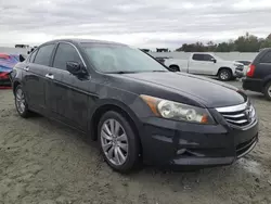 Honda Accord exl salvage cars for sale: 2011 Honda Accord EXL