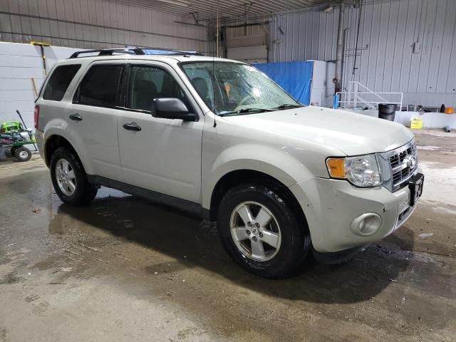 2009 Ford Escape XLT