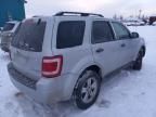 2008 Ford Escape XLT