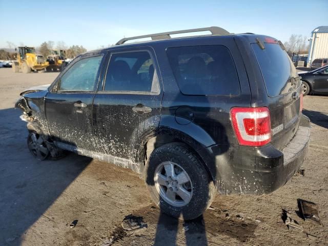 2011 Ford Escape XLT