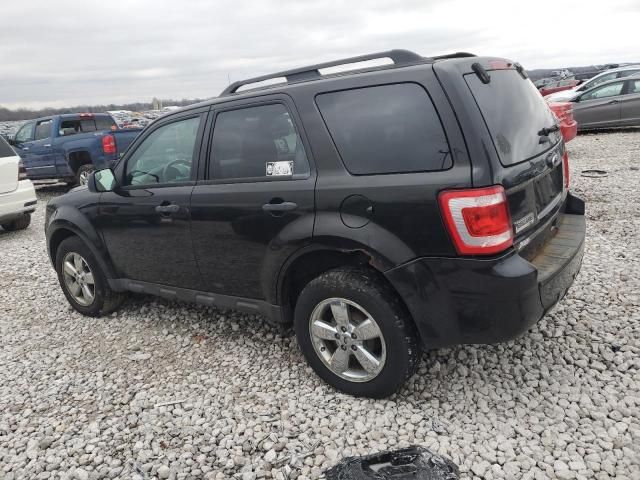 2011 Ford Escape XLT