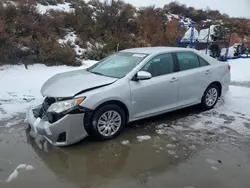 Vehiculos salvage en venta de Copart Reno, NV: 2013 Toyota Camry L