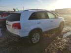 2011 KIA Sorento EX