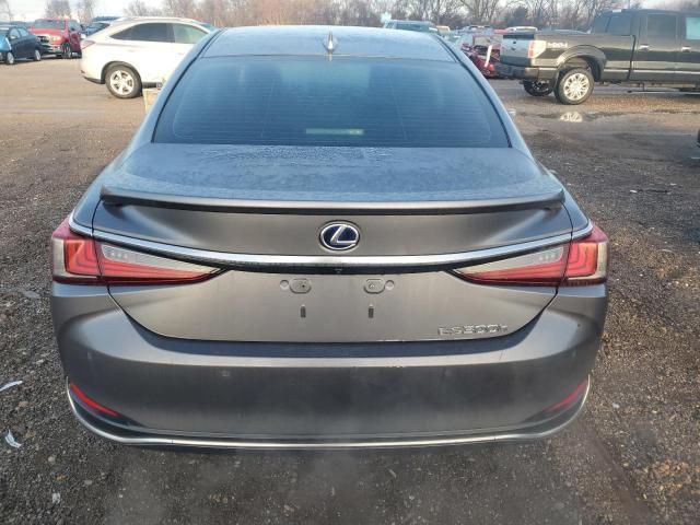 2020 Lexus ES 300H