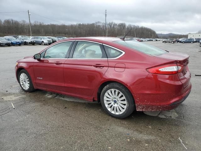 2014 Ford Fusion SE Hybrid