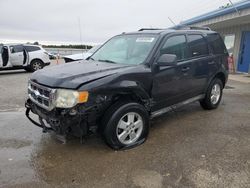 Salvage cars for sale at Memphis, TN auction: 2009 Ford Escape XLT