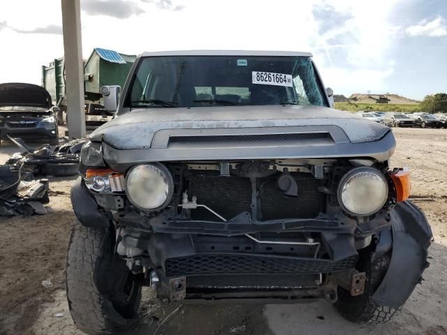 2010 Toyota FJ Cruiser