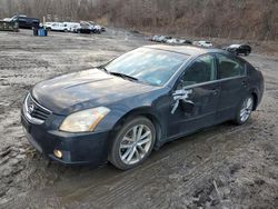 Nissan Vehiculos salvage en venta: 2007 Nissan Maxima SE