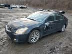 2007 Nissan Maxima SE